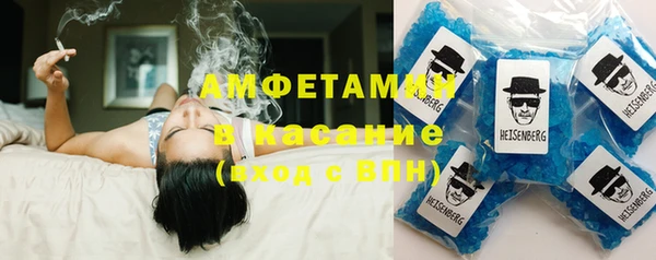 ПСИЛОЦИБИНОВЫЕ ГРИБЫ Осинники