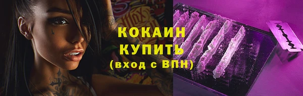 ПСИЛОЦИБИНОВЫЕ ГРИБЫ Осинники