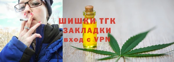винт Нягань