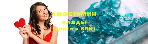 ПСИЛОЦИБИНОВЫЕ ГРИБЫ Осинники