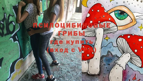винт Нягань