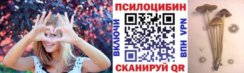 Псилоцибиновые грибы мицелий Починок